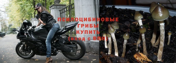 МДПВ Бугульма