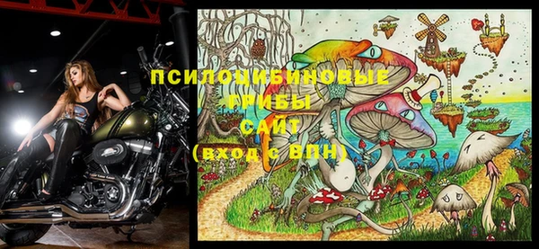 МДПВ Бугульма