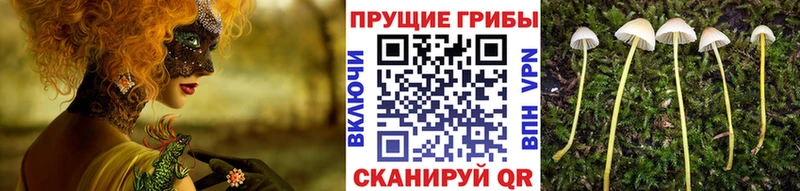 Псилоцибиновые грибы GOLDEN TEACHER  Мирный 